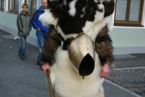 Bild 066